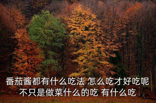 番茄醬都有什么吃法 怎么吃才好吃呢不只是做菜什么的吃 有什么吃