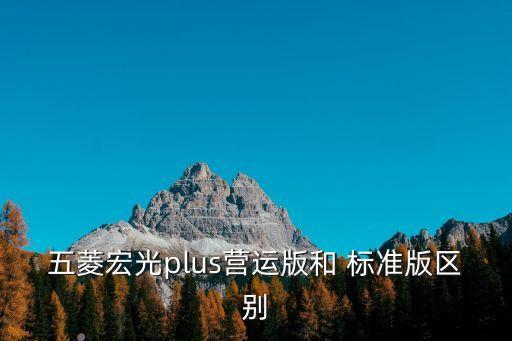 五菱宏光plus營運版和 標準版區別