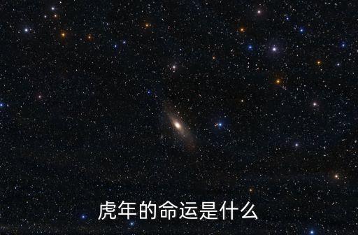 虎年的命運是什么