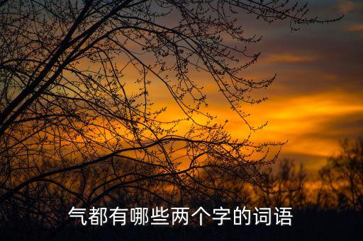 艾氣,第二集:人氣、才華、憤怒