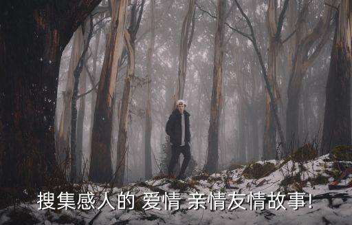 親情式的愛(ài)情,人生有三大情感:親情友情愛(ài)情