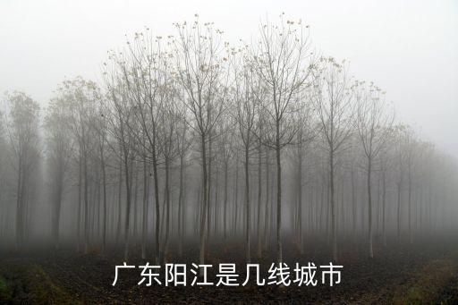 廣東陽江是幾線城市