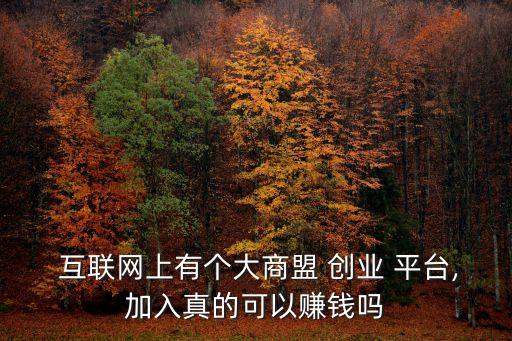  互聯網上有個大商盟 創業 平臺,加入真的可以賺錢嗎