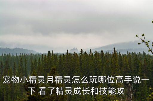 寵物小精靈月精靈怎么玩哪位高手說一下 看了精靈成長和技能攻