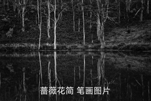 薔薇花簡 筆畫圖片