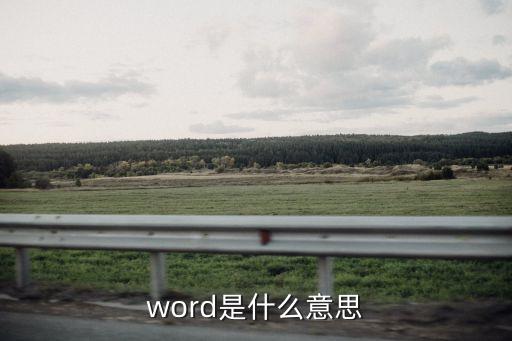 word意思，word是什么意思