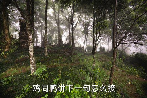  雞同鴨講下一句怎么接