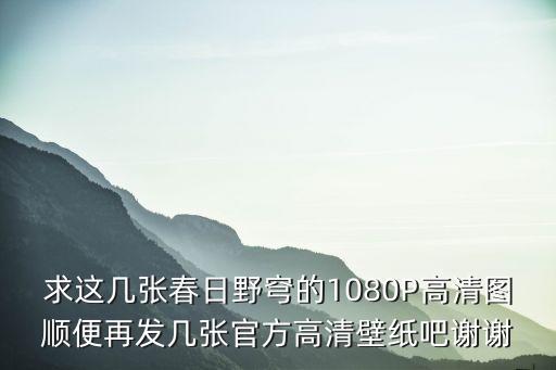 春日野穹壁紙，求穹妹這張圖的大圖版