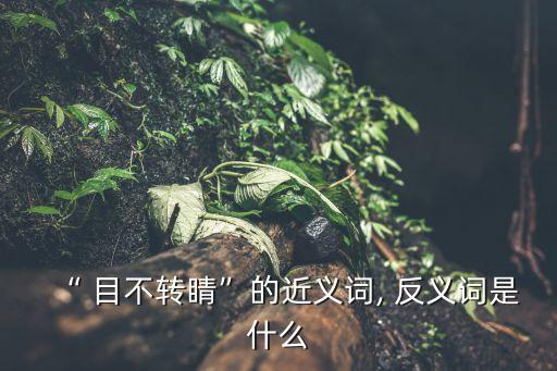 目不轉(zhuǎn)睛的反義詞,目不轉(zhuǎn)睛同義詞r\n反義詞:專心集中