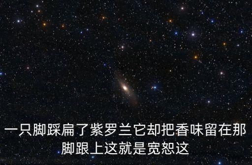 一只腳踩扁了紫羅蘭它卻把香味留在那腳跟上這就是寬恕這