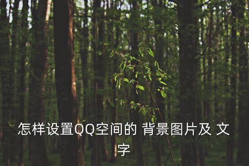 怎樣設置QQ空間的 背景圖片及 文字