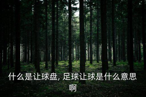什么是讓球盤, 足球讓球是什么意思啊
