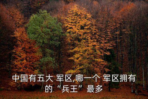 五大軍區是哪五大軍區,中國人民解放軍戰區是五個戰區總稱