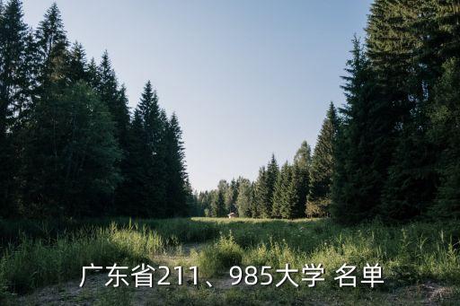 廣東高校名單,中國211高校打野廣東211所大學進全國百強