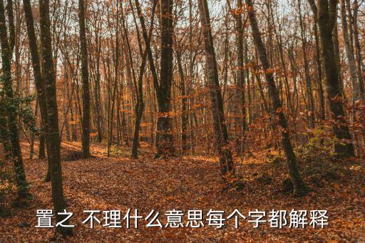 什么之不理,另眼相看:冷淡粗暴不理不睬比喻冷淡疏離