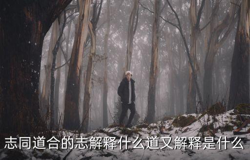 志同道合的意思，志同道合是什么