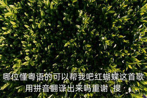 哪位懂粵語的可以幫我吧紅蝴蝶這首歌用拼音翻譯出來嗎重謝  搜