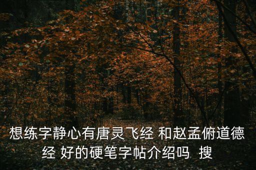 道德經(jīng)字帖，把道德經(jīng)的文章變成WORD字帖如何操作