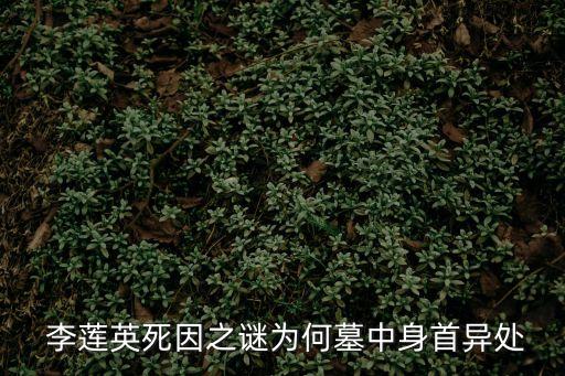 李蓮英墓,清廷檔案保存李蓮英埋骨地點清楚可見