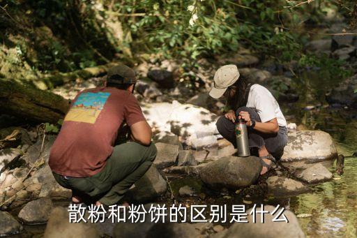 散粉和粉餅的區別，粉餅和散粉有什么區別啊
