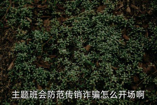 預(yù)防電信詐騙主題班會，主題班會防范傳銷詐騙怎么開場啊