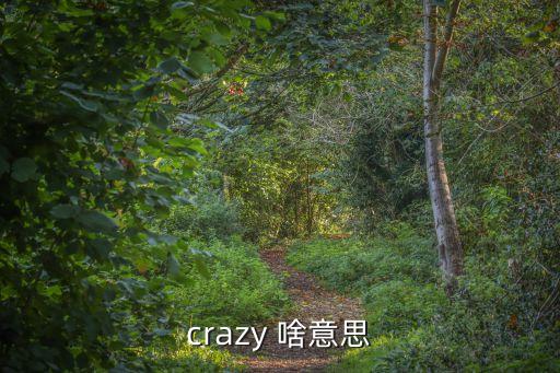 crazy，crazy有什么意思