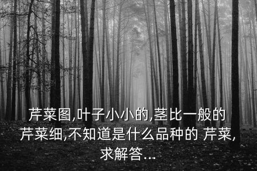  芹菜圖,葉子小小的,莖比一般的 芹菜細,不知道是什么品種的 芹菜,求解答...