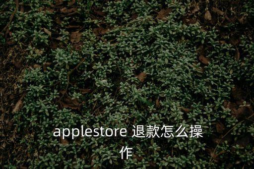  applestore 退款怎么操作