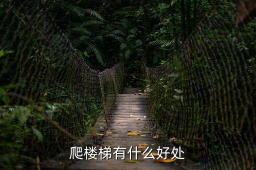 爬樓梯有什么好處，上樓梯對身體的好處是什么