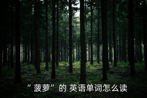 菠蘿英語怎么說,菠蘿de英文意思是什么?