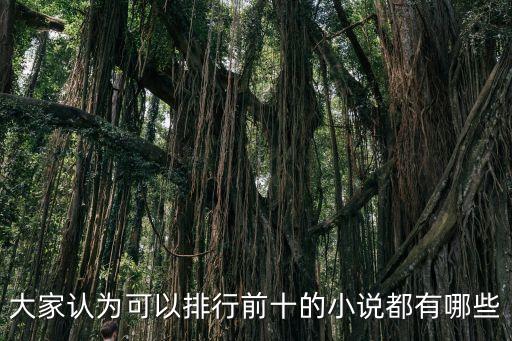 大家認為可以排行前十的小說都有哪些