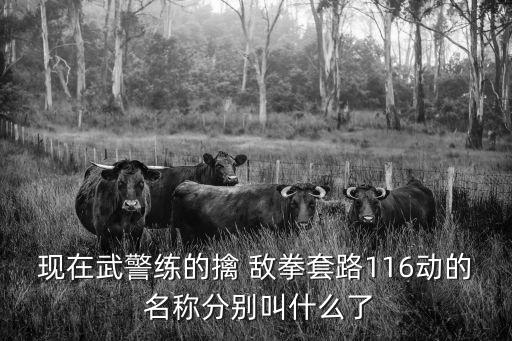 現(xiàn)在武警練的擒 敵拳套路116動的 名稱分別叫什么了