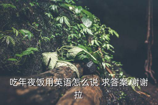 吃年夜飯用英語怎么說 求答案 謝謝拉