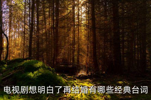 想明白了再結婚，電視劇想明白了再結婚中滿意和劉天宇最后怎么了離婚了嗎