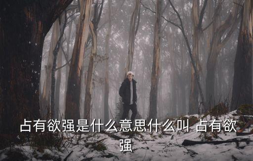 占有欲強什么意思,占有欲strong你知道這里有什么嗎?