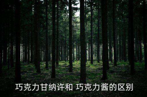 巧克力醬,秘制巧克力醬怎么做?