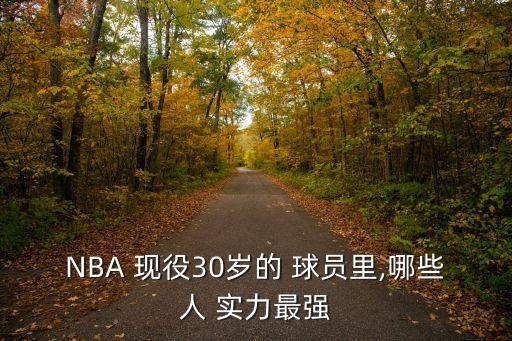 NBA 現役30歲的 球員里,哪些人 實力最強