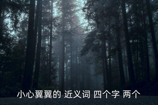 小心翼翼的 近義詞 四個字 兩個