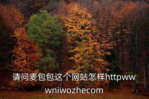 請問麥包包這個網站怎樣httpwwwniwozhecom