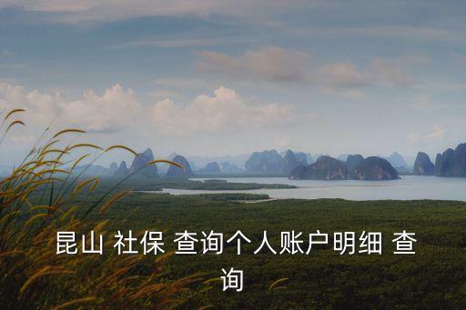  昆山 社保 查詢個人賬戶明細 查詢