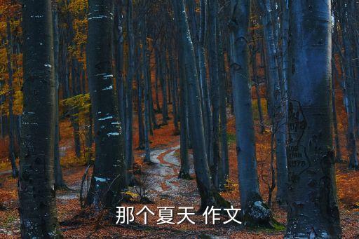 那個夏天，那個夏天 歌曲下載