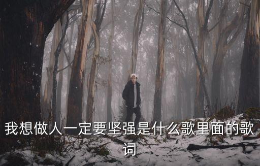 我想做人一定要堅強是什么歌里面的歌詞
