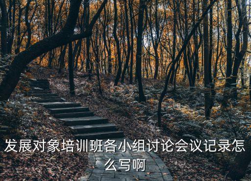 發展對象培訓班各小組討論會議記錄怎么寫啊