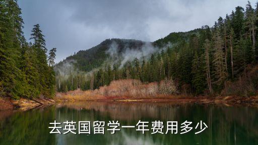 4500英鎊,薩里大學學費英國一年生活費7-10萬