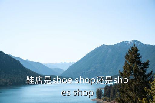 鞋店是shoe shop還是shoes shop