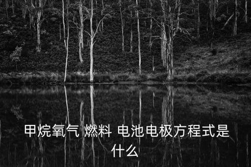  甲烷氧氣 燃料 電池電極方程式是什么