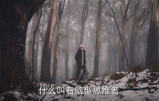 右腦型思維者，右腦型思維者是什么意思