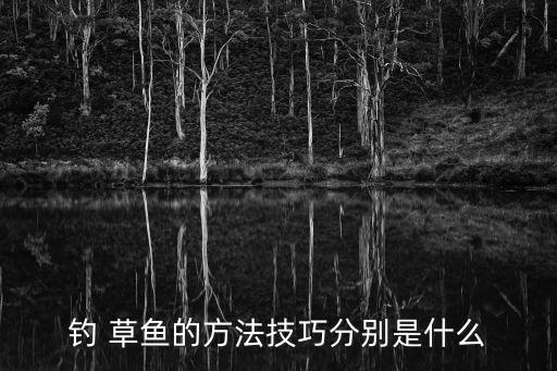 釣草魚,釣魚新技巧:餌料要注意誘餌也要講究方法