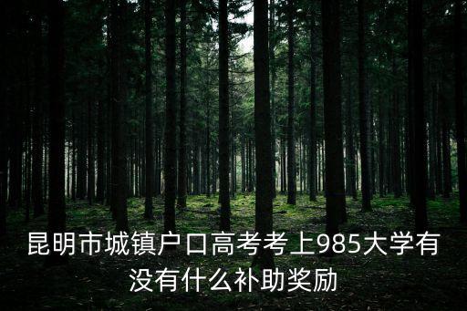 昆明市城鎮(zhèn)戶口高考考上985大學有沒有什么補助獎勵