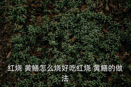 燒黃鱔,將殺好的鱔魚洗凈放入熱鍋中